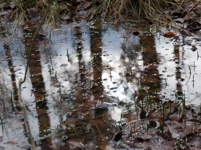 Microplastics discovered in the Contrex and Hépar boreholes