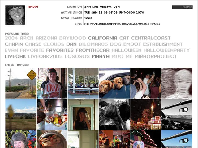 Stock Preference: Key Features, Advantages, and Disadvantages