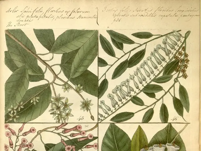 From the former Ilva steelworks in Taranto, a pact on decarbonization of the plants has been signed...