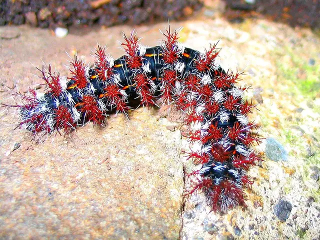 Morgan Stanley issues a cautionary statement, stating a potential 20% decrease in the value of the...