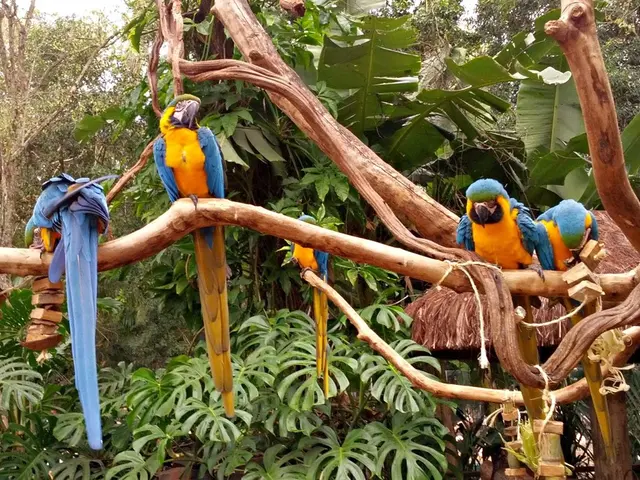 Regional banking sector welcomes new figurehead, as former M&T CFO takes up leadership role at...