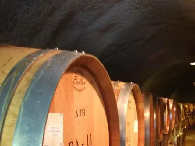 Malfunctioning smoke signal: Saukopftunnel in Weinheim remains shut down