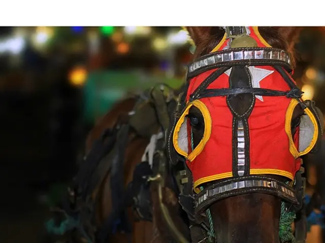 Recovered: Sh20 million worth of Ministry of Housing land in Kakamega, seized by EACC