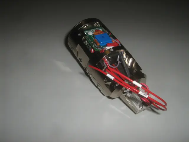 Business ventures envisioned by youth residing in Kaarst