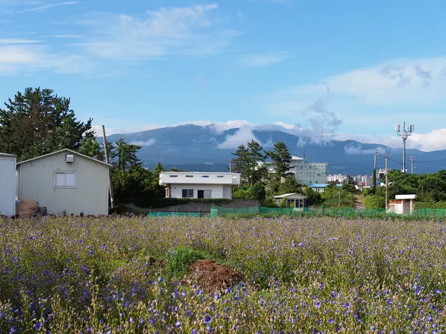 Unleashing Solar Energy's Potential: Delving into Sustainable Power Sources