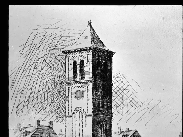 Federal government contracts under scrutiny lead to job losses among DHS staff