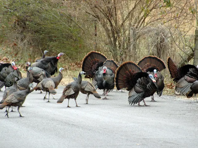 Skyrocketing house prices in Turkey, with a 28% increase, reported in July alongside...