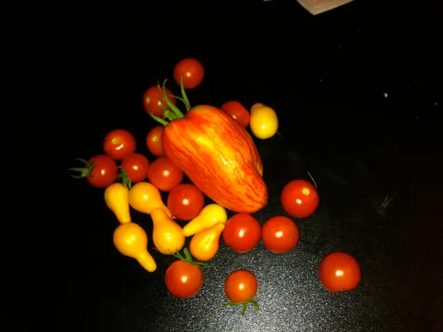 Fruits trading between Thailand and China set to intensify with the addition of five new border...