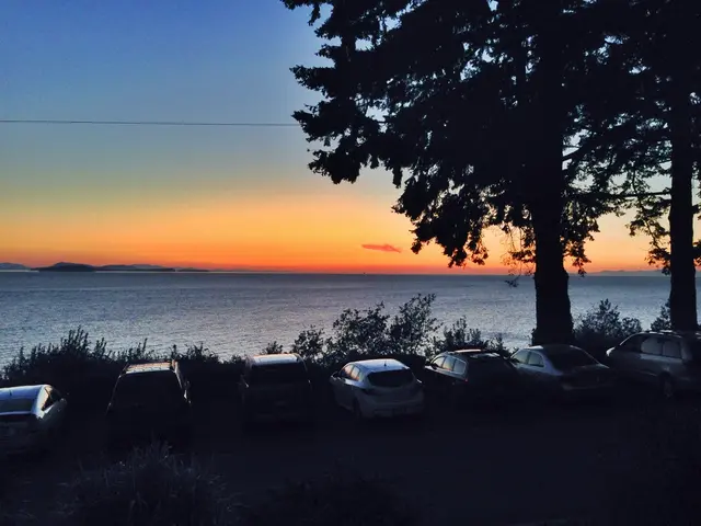 Oil-centric investments: The reasons why investors resist transition to renewable energy sources