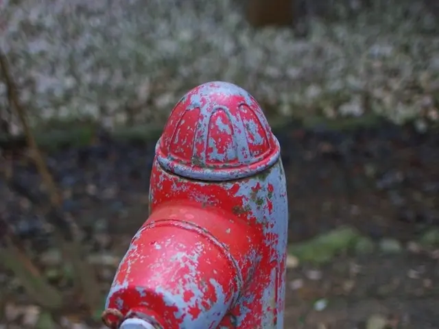 Transformed Community through Local Plumbing Services: Denver's Neighborhood Plumbing Emporium