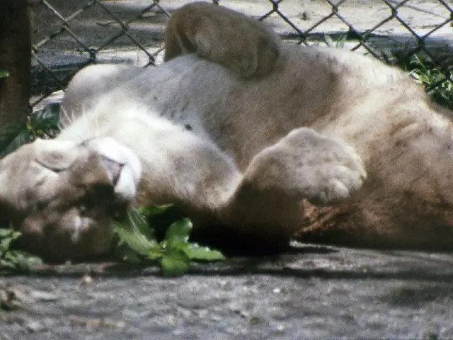 CATA recorded a milestone by achieving five million riders in the fiscal year 24-25