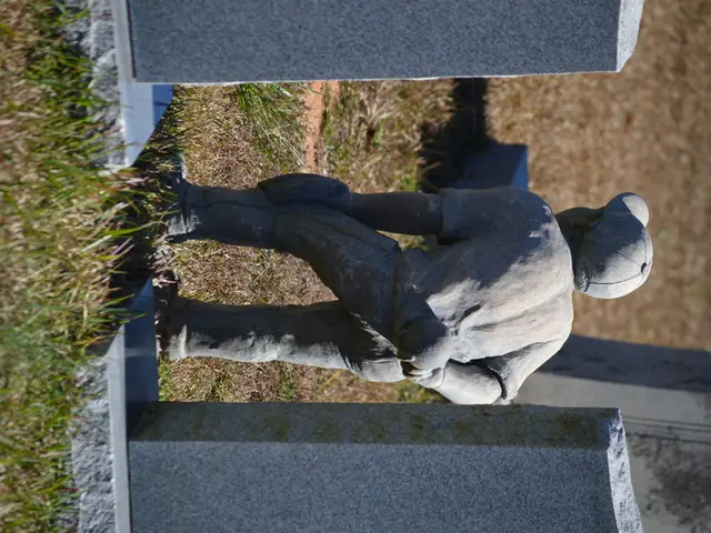 Threat looms over ancient rock art site in Australia as government prolongs operation of nearby gas...