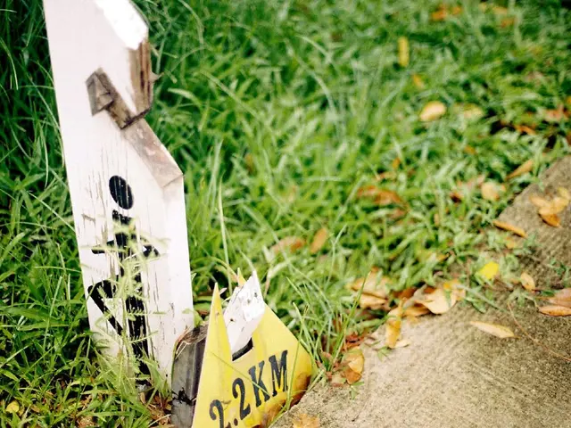 Pending Decision on Application for Exemption by the Commission