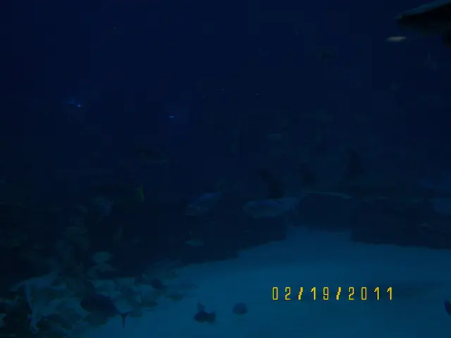 Nissui's 'Impact Finance for Nature' loan with Sumitomo Mitsui Trust Bank receives nature-focused...