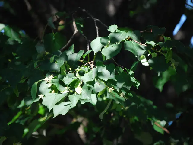 Banking institution, Provident, to shutter 22 of its branches located in New Jersey.