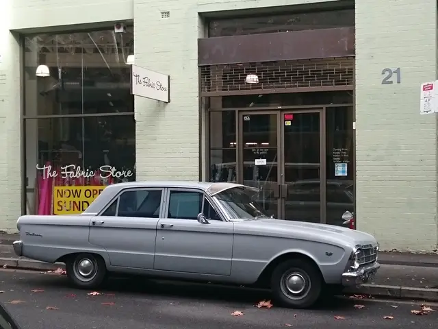 Eduardo Luna Takes On the Role of Primary Director at Vizsla Silver