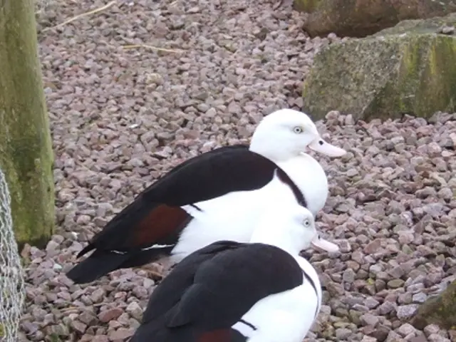 Island's environmental and economic enhancement through the recently launched initiative on Isle of...