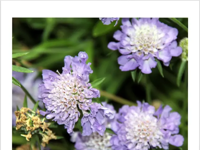 Vodokanal JSC declared "Golden Autumn Debt-Free"