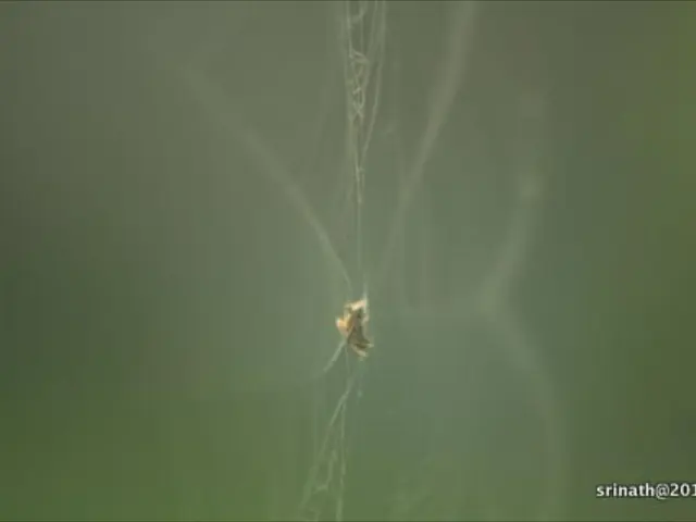 Alteration in Data Elimination Policy Announcement by NPL