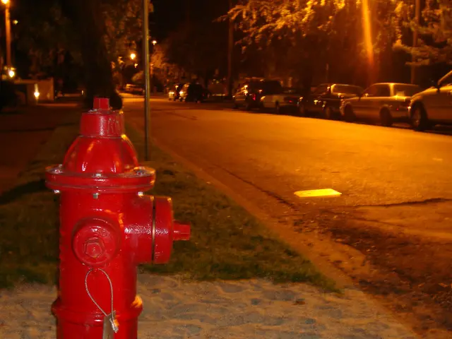 Vehicle Burning Process Considered by LPI-J