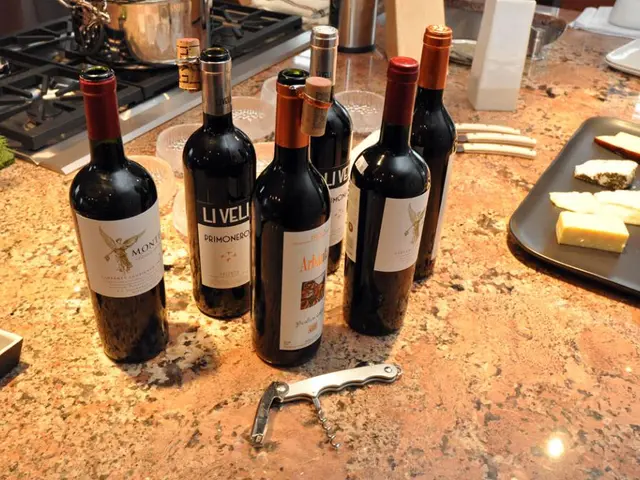 Appliance company, Stovekraft, endorse changes in Goods and Services Tax, passing on benefits to...