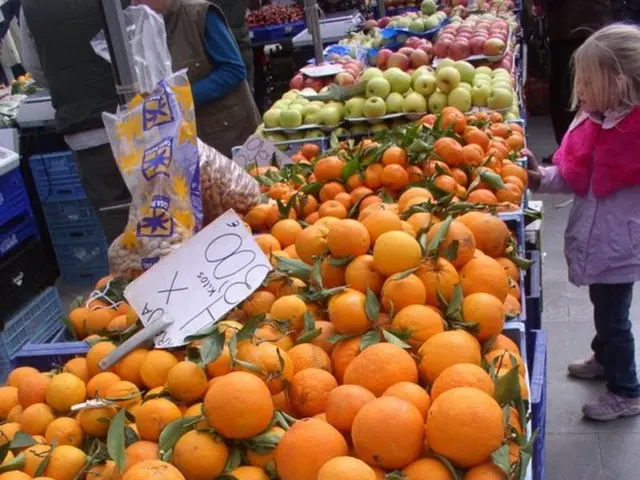 Farmer is mandated to shut down his portable market stalls; food transactions on Sunday are...