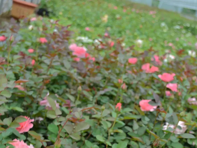 Confirmation of Environmental, Social, and Governance (ESG) rating received by the Russian atomic...