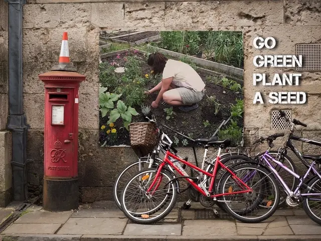 Barrier on Bike Path Lifted