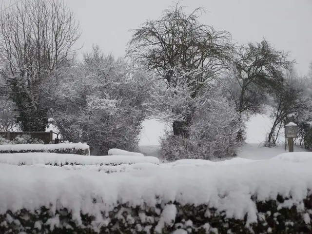 Financial Backers Plan to Sue Entain Over Deteriorating Stock Value