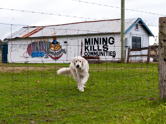 In the image there is a fencing and behind the fencing there is a dog on the grass surface, behind...