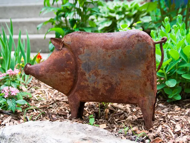 In this image we can see a pig made of iron kept on the ground.
