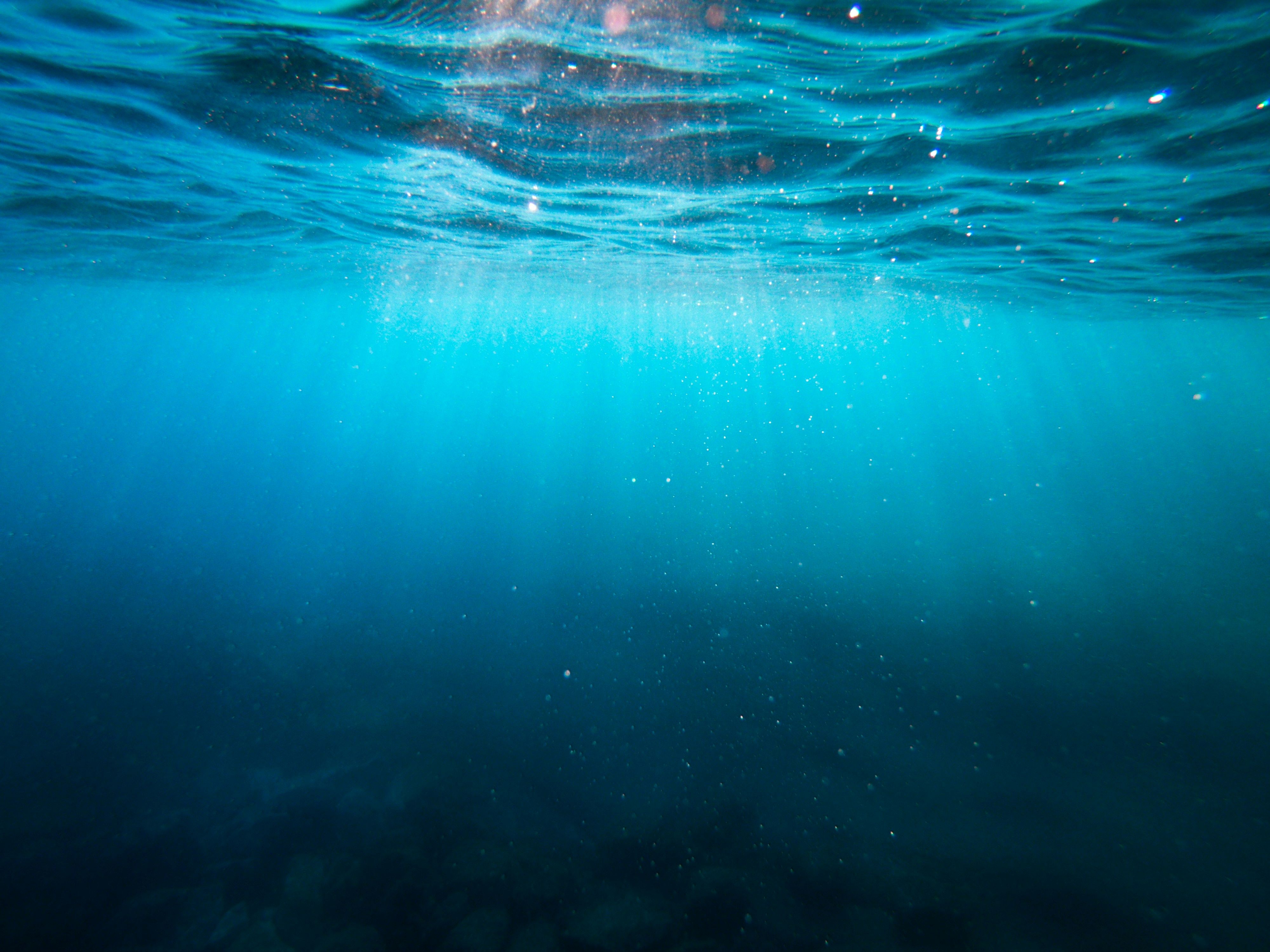 Avoiding Monetary Updates? Steer Clear of Pursuing Hobbies - Business Update - West Hawaii Today