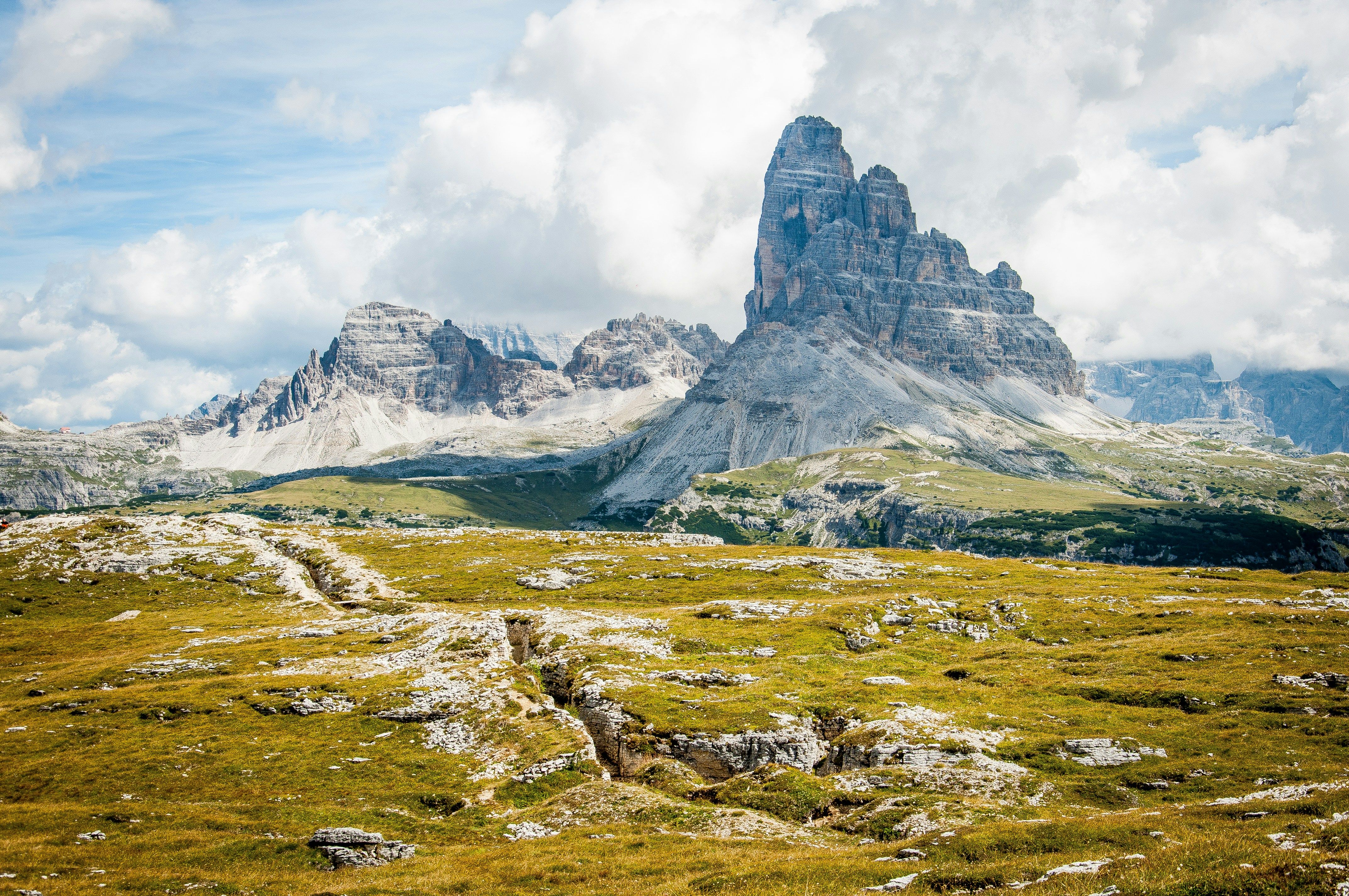 Suspect arrested for bank robbery, identified as John Smith Over half of cryptocurrencies introduced since 2021 have collapsed. Explore the proliferation of ghost tokens and essential insights for thriving ventures.