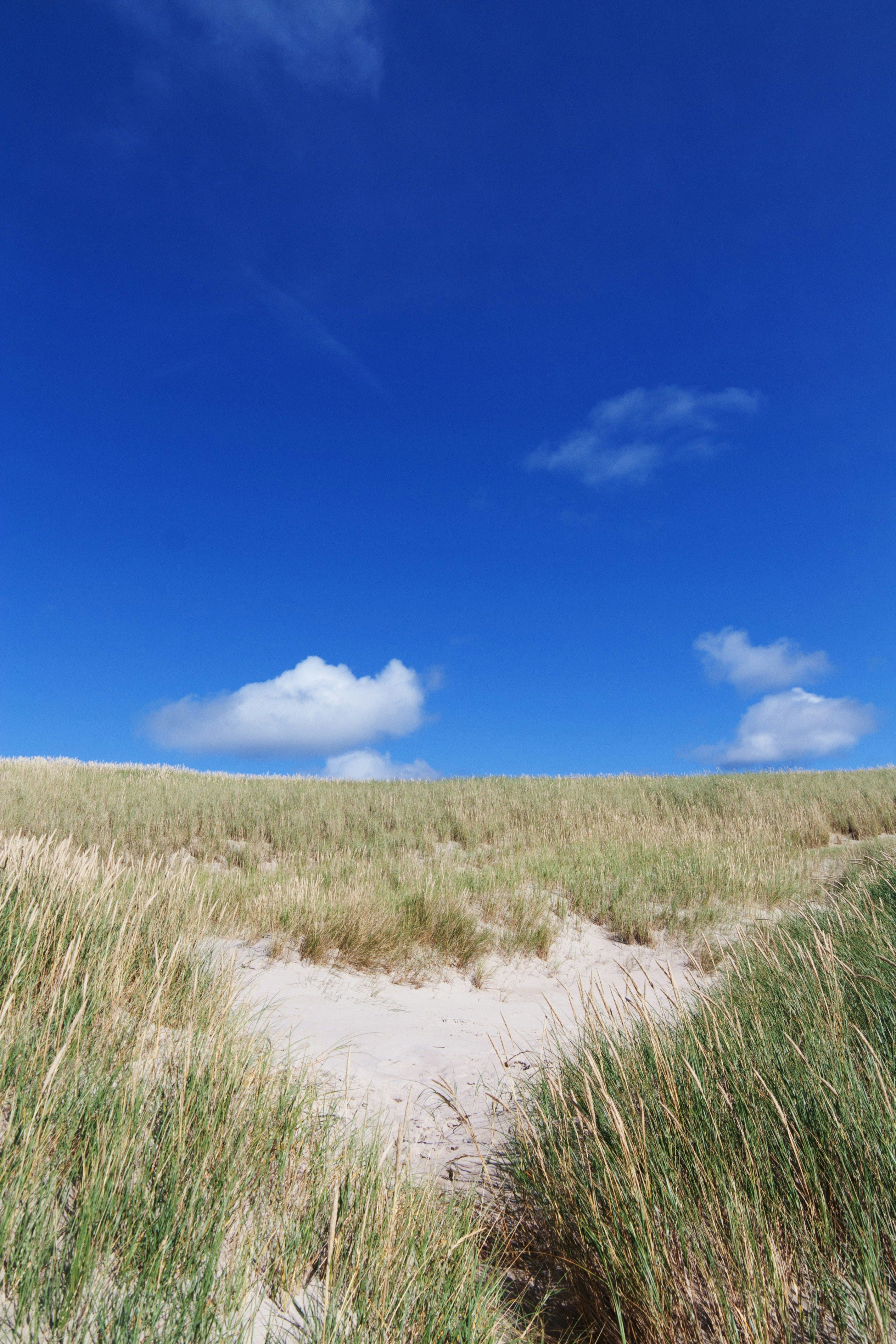 Economical information from the U.S. was distributed in large numbers during the day. The data...