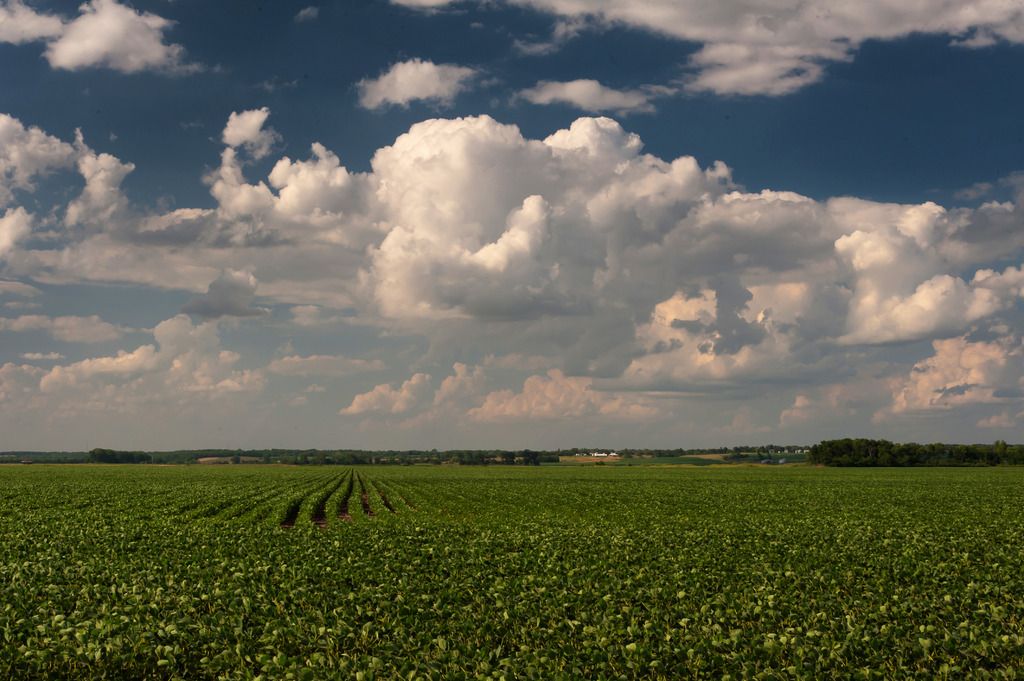 Federal Alliance of Duty-Free Retailers, in conjunction with 15 border city mayors, pen a letter to...